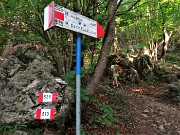 13 Alla Forca d'Aviatico (1160 m)  imbocchiamo il sent. 519 per il Monte Suchello